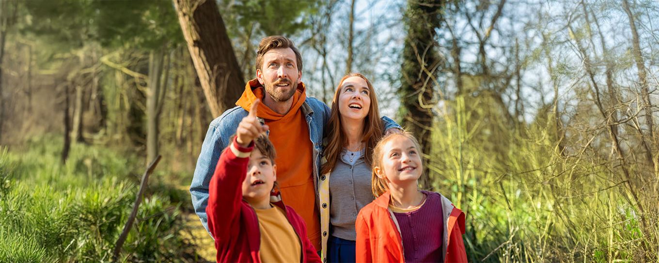 Vader en moeder met kinderen wandelend in het bos