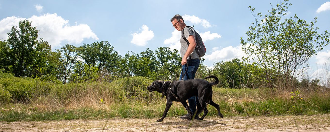 Een man wandelend met zijn hond