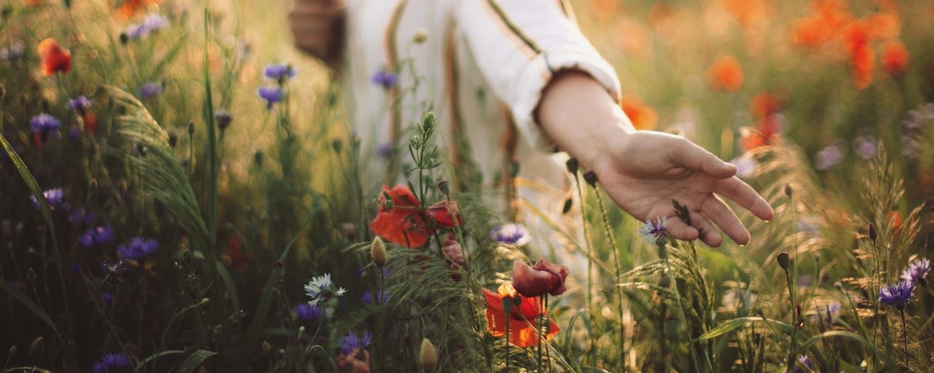 afbeelding van een hand en arm in een veld met wildbloemen